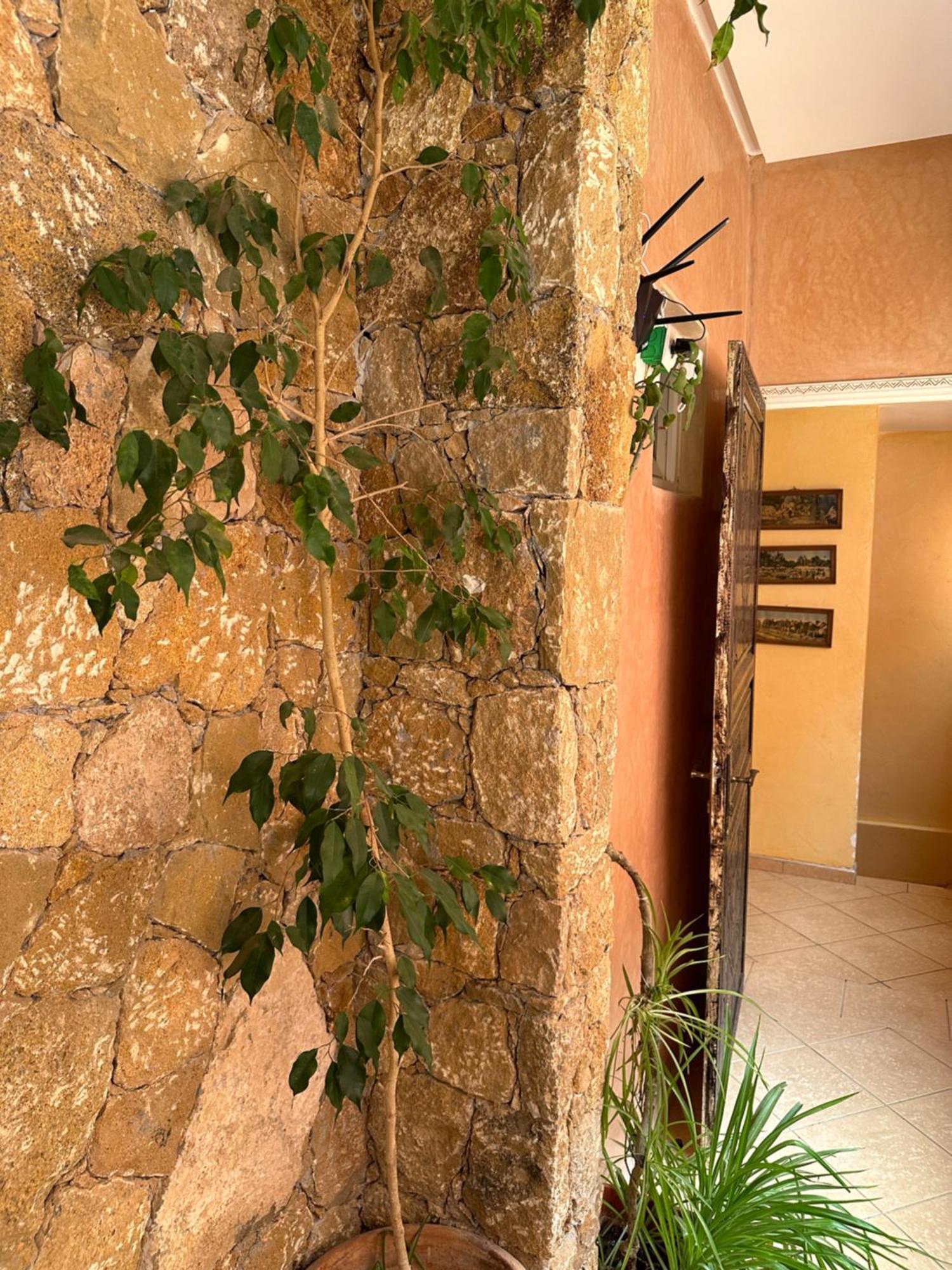 Europa Mirlef T Aventur Guest House Mirleft Exterior foto